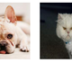 Image for article titled Someone Finally Hijacked Deep Learning Tech to Create More Than Nightmares